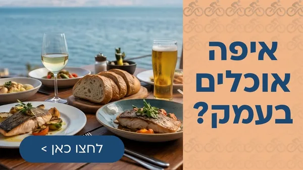 רוכבים בסובב כנרת