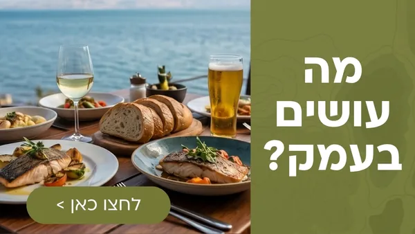 רוכבים בסובב כנרת