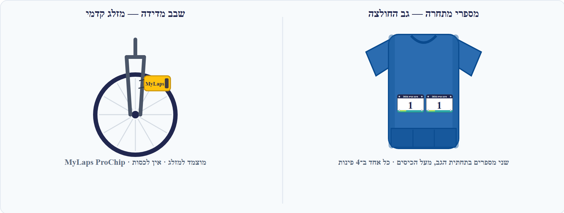 הדמיית מיקום מספרי גב ושבב